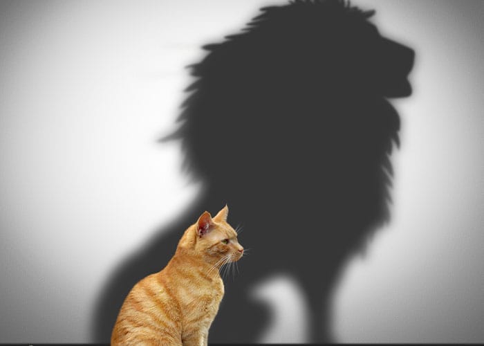 Motivation and Getting Results for 2016 and Beyond