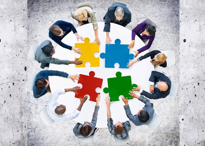 How to Train Cats and Salespeople