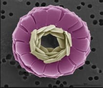 Customers Don’t Think The Way They Think, They think! (Part 1)