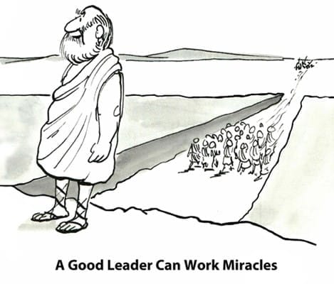 Effective Team Leader2